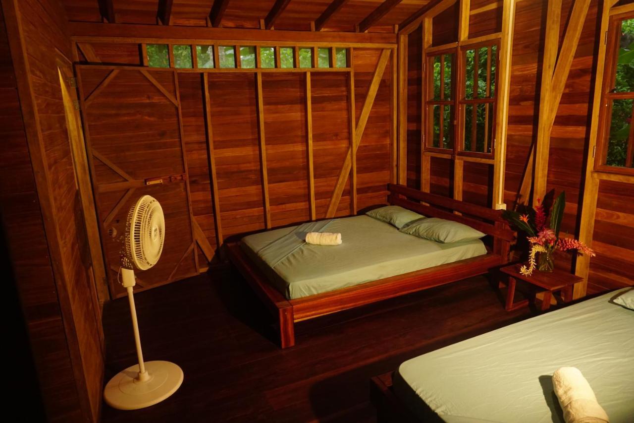 La Tarima Del Colibri Ecolodge El Valle  Extérieur photo