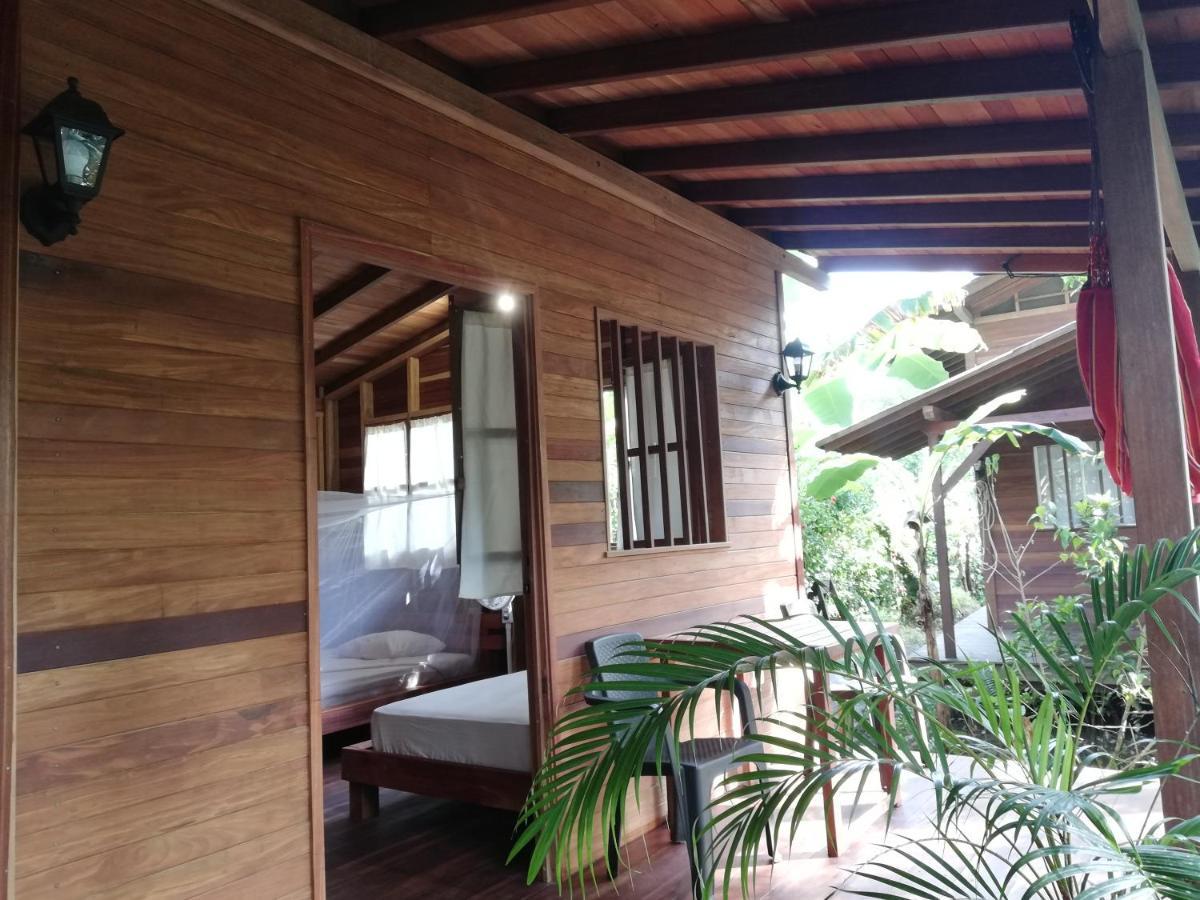 La Tarima Del Colibri Ecolodge El Valle  Extérieur photo