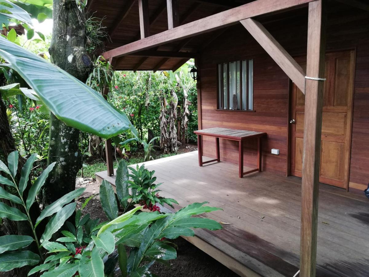 La Tarima Del Colibri Ecolodge El Valle  Extérieur photo