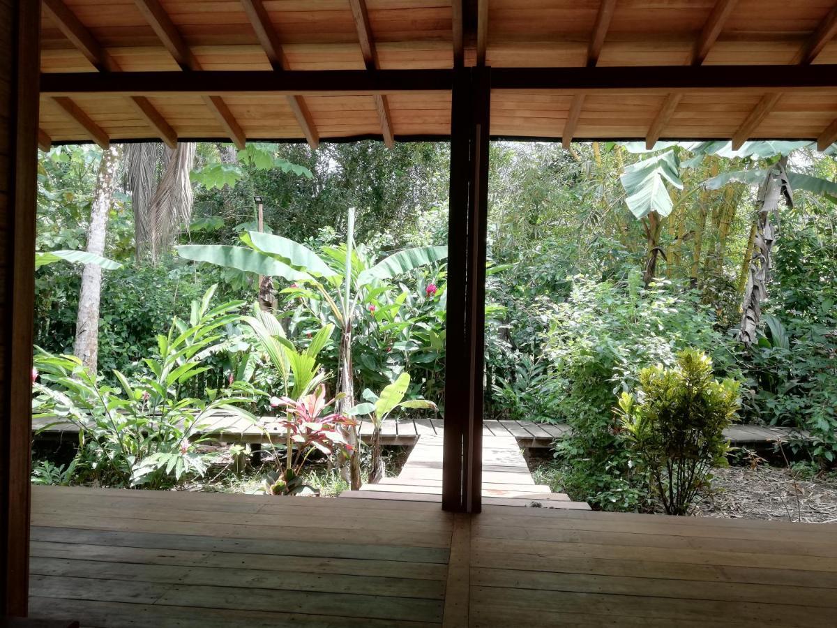 La Tarima Del Colibri Ecolodge El Valle  Extérieur photo