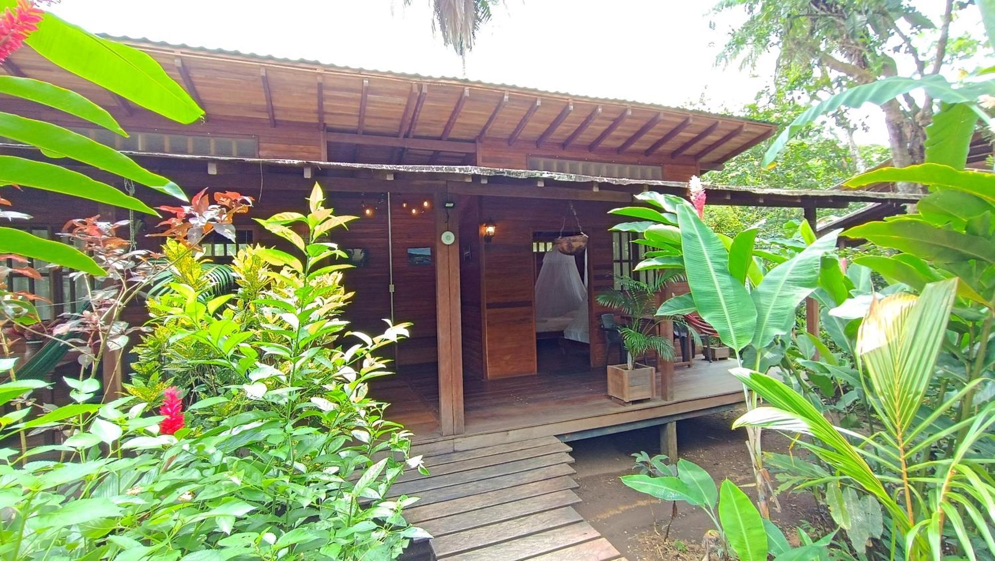 La Tarima Del Colibri Ecolodge El Valle  Extérieur photo