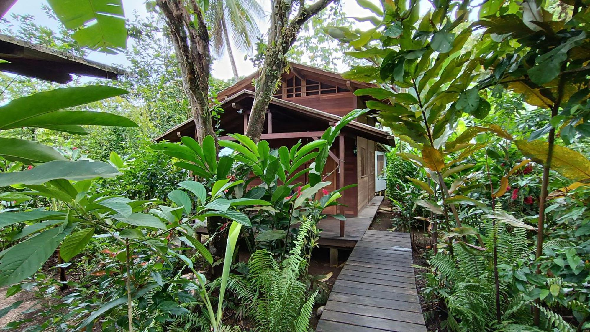 La Tarima Del Colibri Ecolodge El Valle  Extérieur photo
