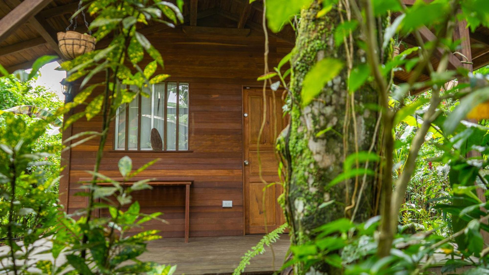 La Tarima Del Colibri Ecolodge El Valle  Extérieur photo